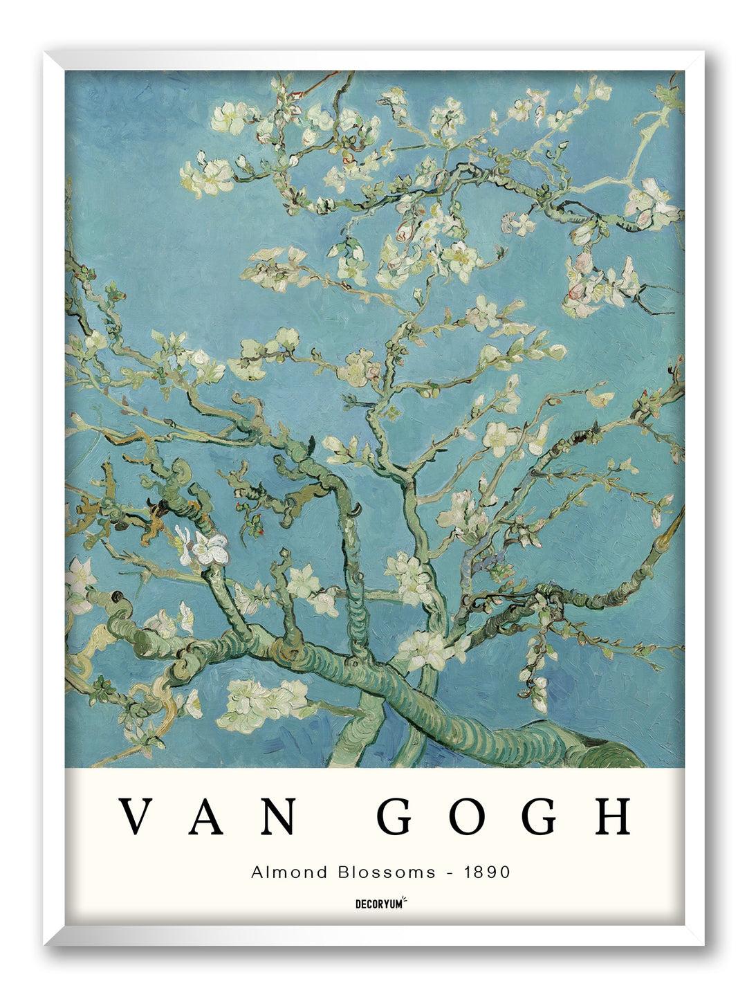 Almond Blossoms