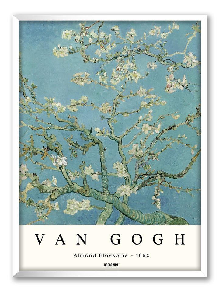 Almond Blossoms