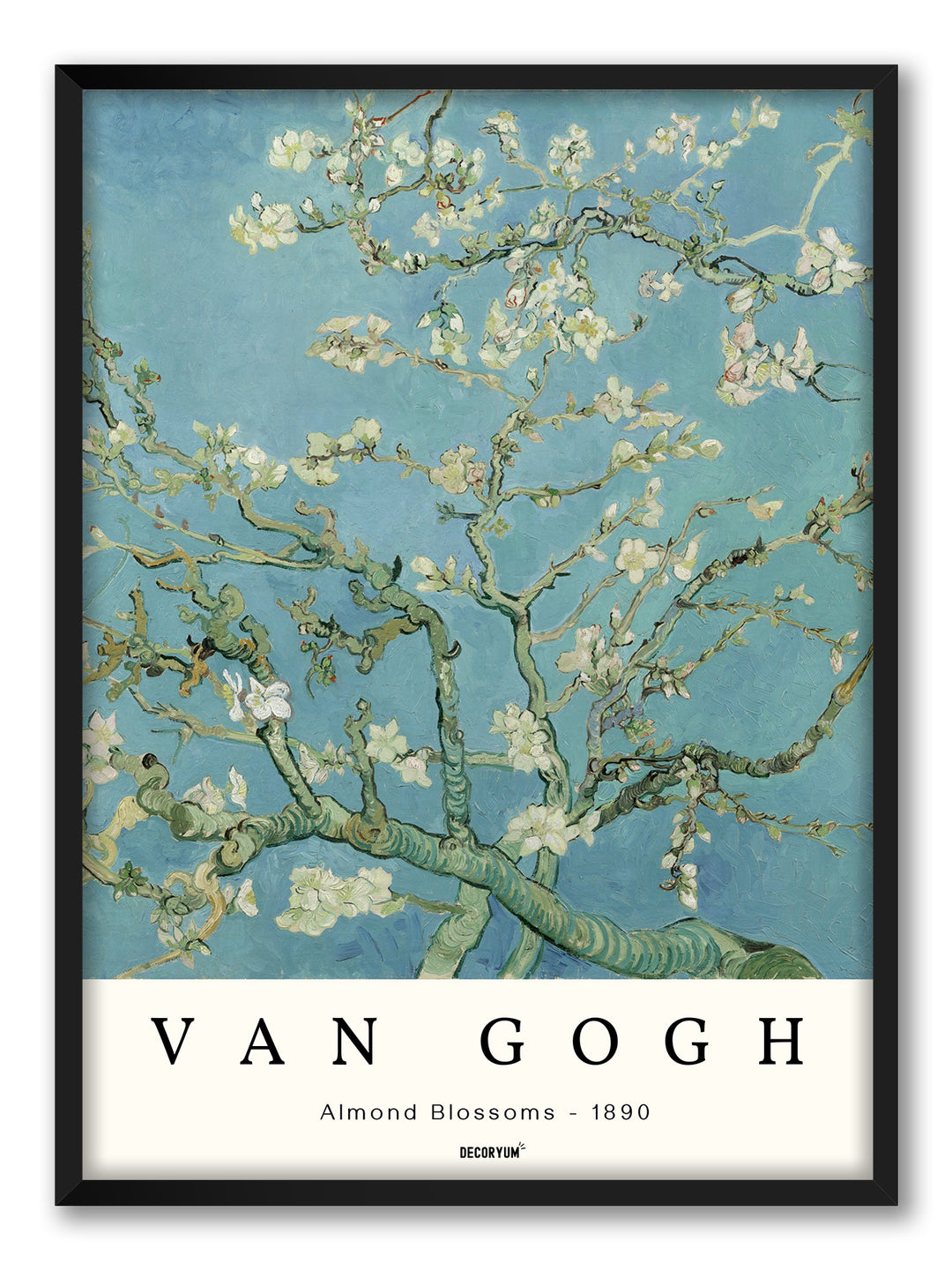 Almond Blossoms