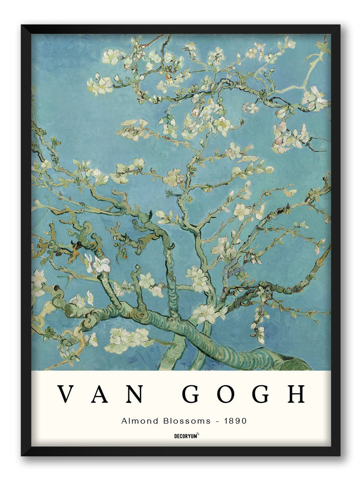 Almond Blossoms
